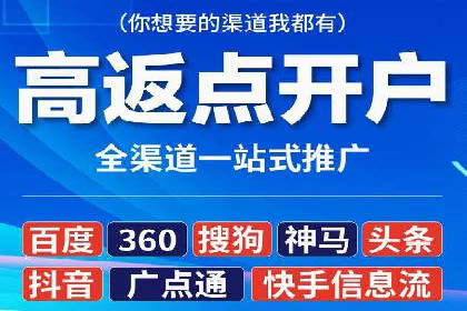 落地页在SEM优化中的重要性及成功案例